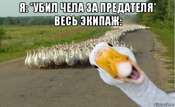 я: *убил чела за предателя* весь экипаж: , Мем гуси