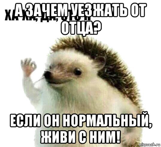 а зачем уезжать от отца? если он нормальный, живи с ним!, Мем Ха-ха да это я