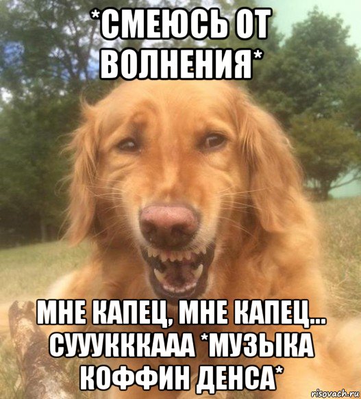 *смеюсь от волнения* мне капец, мне капец... сууукккааа *музыка коффин денса*, Мем   Когда увидел что соседского кота отнесли в чебуречную