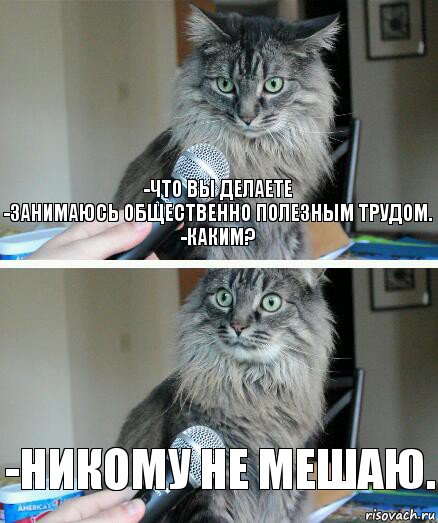 -Что вы делаете
-Занимаюсь общественно полезным трудом.
-Каким? -Никому не мешаю., Комикс  кот с микрофоном