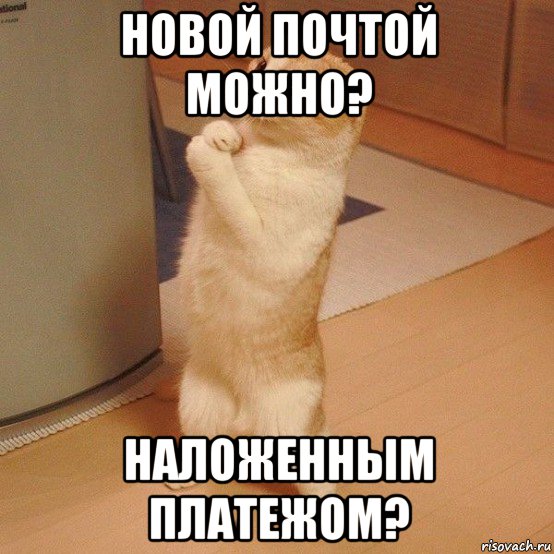 новой почтой можно? наложенным платежом?