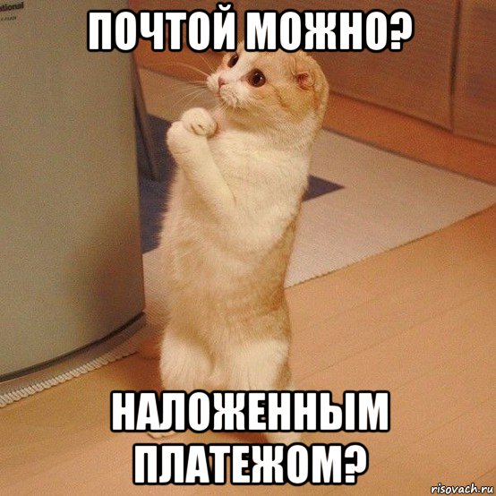 почтой можно? наложенным платежом?