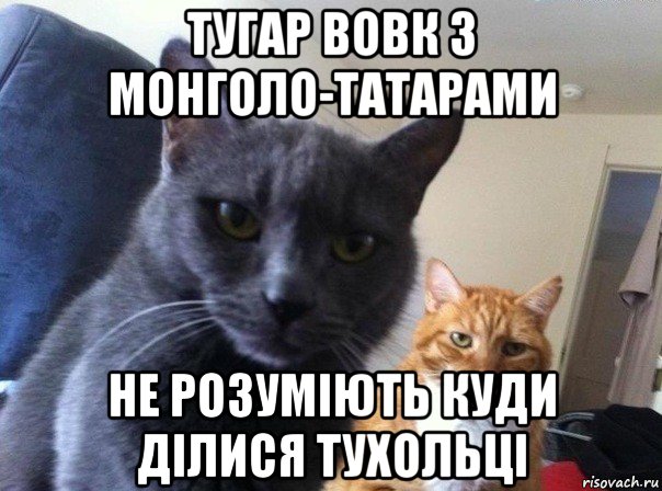 тугар вовк з монголо-татарами не розуміють куди ділися тухольці, Мем  Два котэ