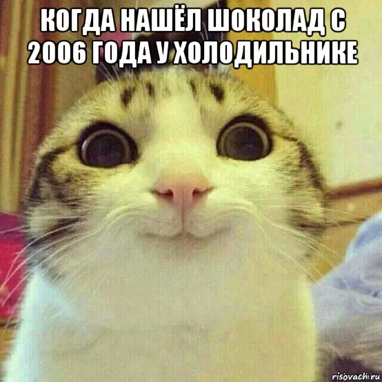 когда нашёл шоколад с 2006 года у холодильнике , Мем       Котяка-улыбака