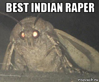 best indian raper , Мем Матылёк