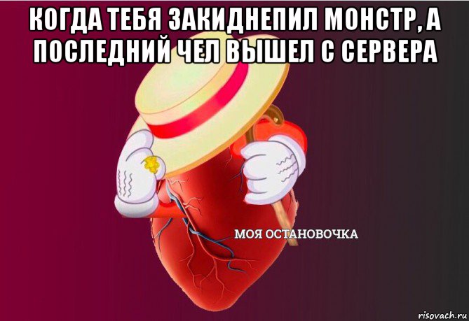 когда тебя закиднепил монстр, а последний чел вышел с сервера , Мем   Моя остановочка