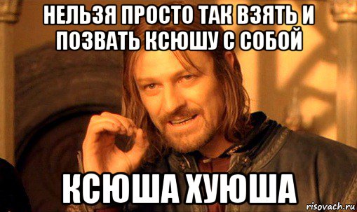 нельзя просто так взять и позвать ксюшу с собой ксюша хуюша, Мем Нельзя просто так взять и (Боромир мем)