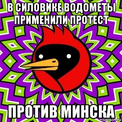 в силовике водометы применили протест против минска, Мем Омская птица