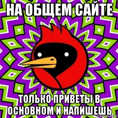 на общем сайте только приветы в основном и напишешь, Мем Омская птица