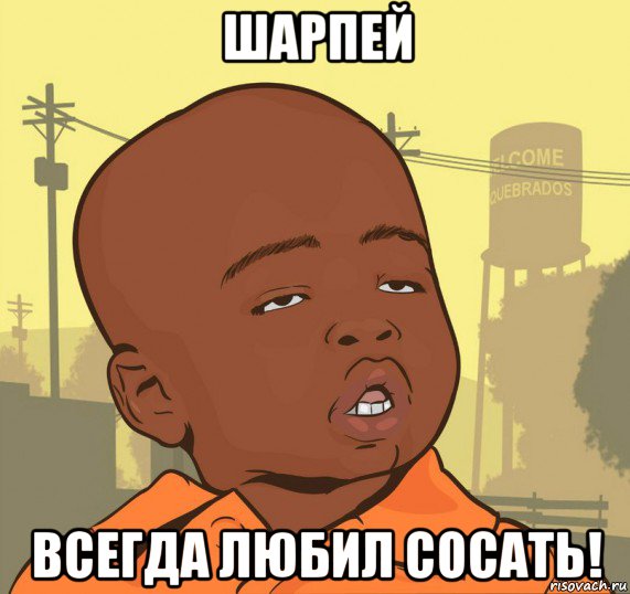 шарпей всегда любил сосать!