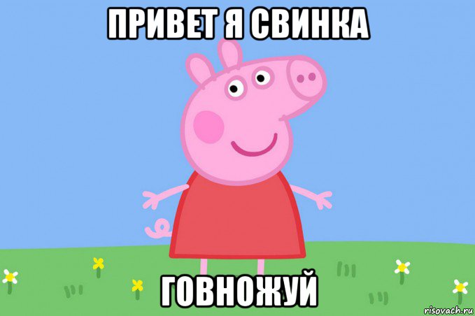 привет я свинка говножуй