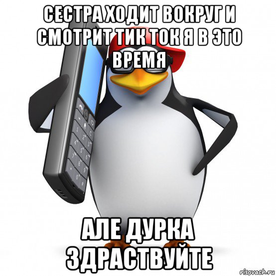 сестра ходит вокруг и смотрит тик ток я в это время але дурка здраствуйте, Мем   Пингвин звонит