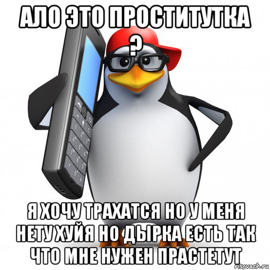 ало это проститутка ? я хочу трахатся но у меня нету хуйя но дырка есть так что мне нужен прастетут, Мем   Пингвин звонит