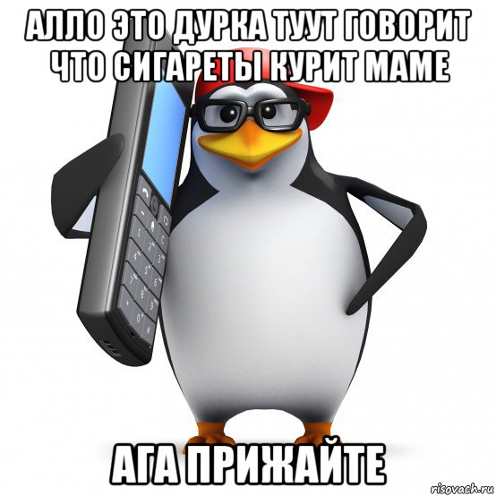 алло это дурка туут говорит что сигареты курит маме ага прижайте, Мем   Пингвин звонит