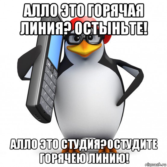 алло это горячая линия? остыньте! алло это студия?остудите горячею линию!, Мем   Пингвин звонит