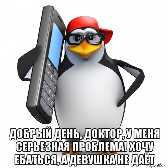  добрый день, доктор, у меня серьезная проблема! хочу ебаться, а девушка не даёт, Мем   Пингвин звонит