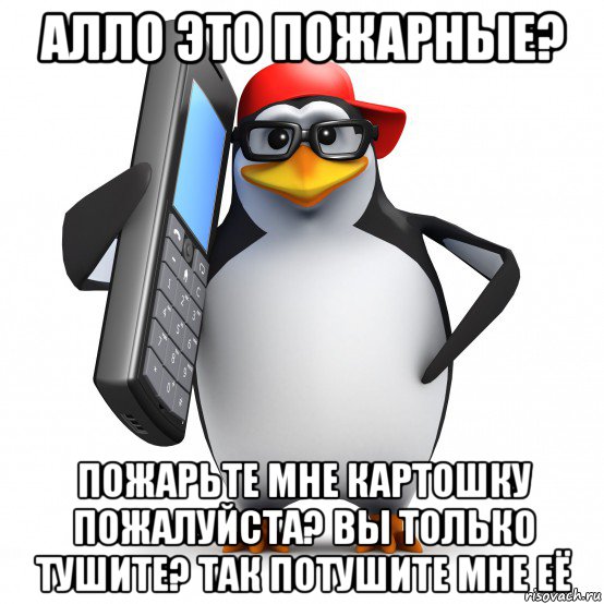 алло это пожарные? пожарьте мне картошку пожалуйста? вы только тушите? так потушите мне её, Мем   Пингвин звонит