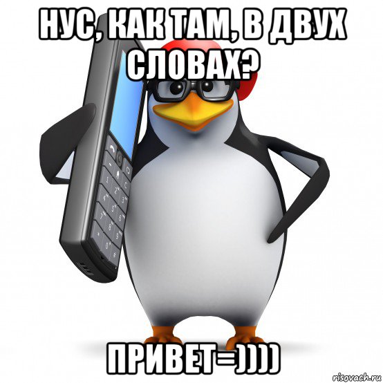 нус, как там, в двух словах? привет=)))), Мем   Пингвин звонит