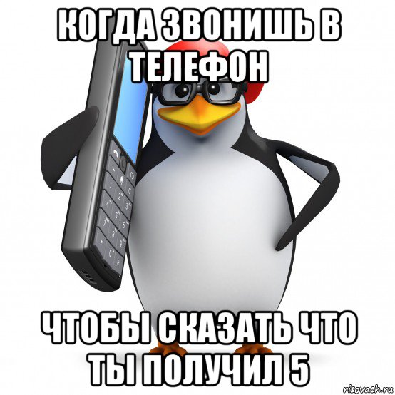 когда звонишь в телефон чтобы сказать что ты получил 5, Мем   Пингвин звонит