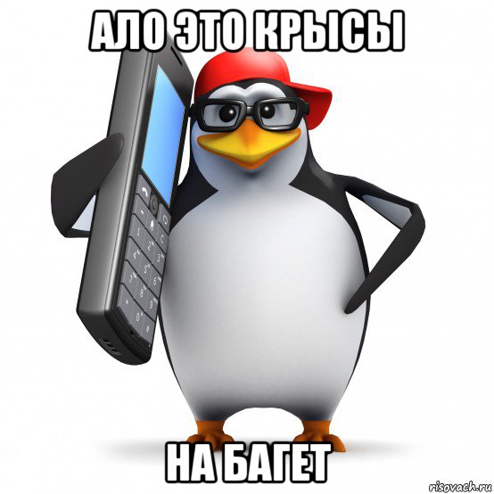 ало это крысы на багет, Мем   Пингвин звонит