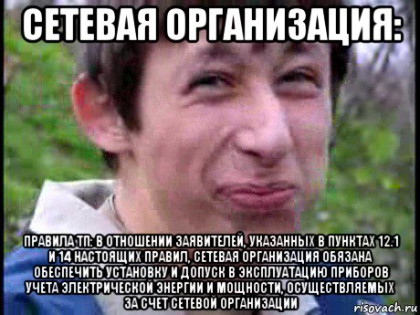 сетевая организация: правила тп: в отношении заявителей, указанных в пунктах 12.1 и 14 настоящих правил, сетевая организация обязана обеспечить установку и допуск в эксплуатацию приборов учета электрической энергии и мощности, осуществляемых за счет сетевой организации