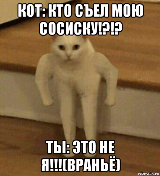 кот: кто съел мою сосиску!?!? ты: это не я!!!(враньё), Мем  Полукот