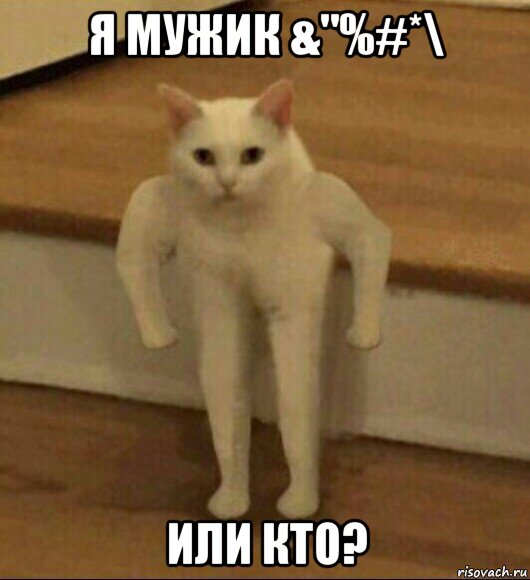 я мужик &"%#*\ или кто?, Мем  Полукот