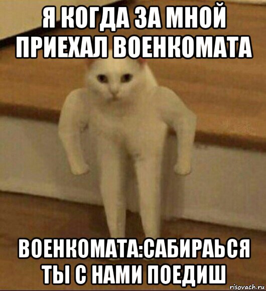я когда за мной приехал военкомата военкомата:сабираься ты с нами поедиш, Мем  Полукот