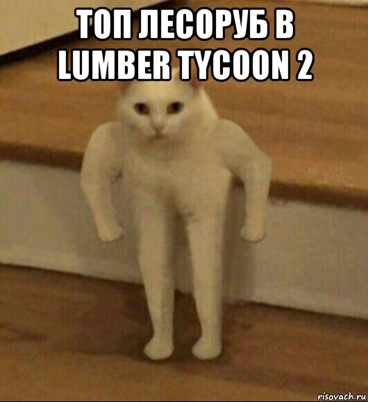 топ лесоруб в lumber tycoon 2 , Мем  Полукот