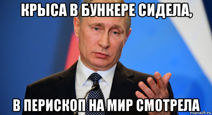 крыса в бункере сидела, в перископ на мир смотрела, Мем Путин Владимир Владимирович