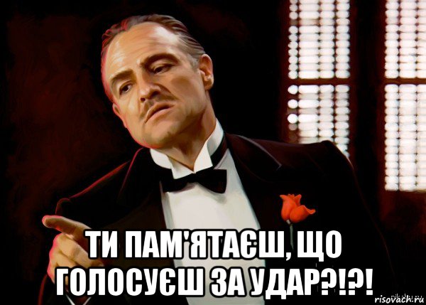  ти пам'ятаєш, що голосуєш за удар?!?!