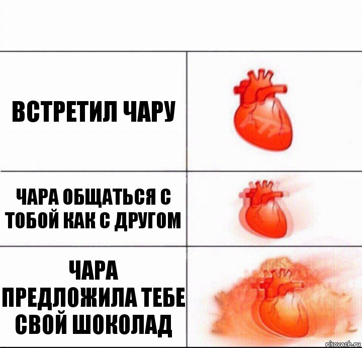 Встретил чару Чара общаться с тобой как с другом Чара предложила тебе свой шоколад