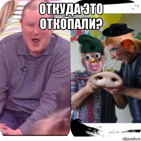 откуда это откопали? , Мем Смисно очин