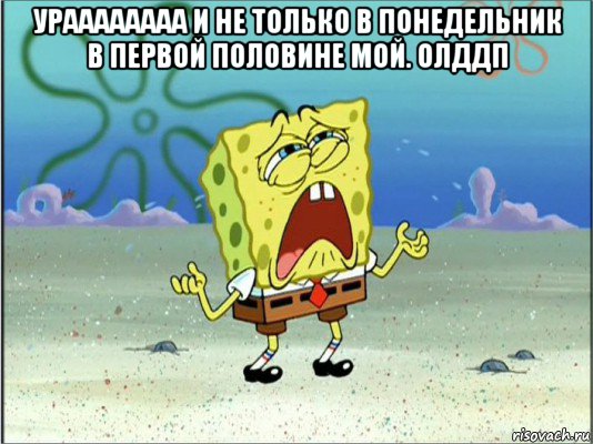 ураааааааа и не только в понедельник в первой половине мой. олддп , Мем Спанч Боб плачет