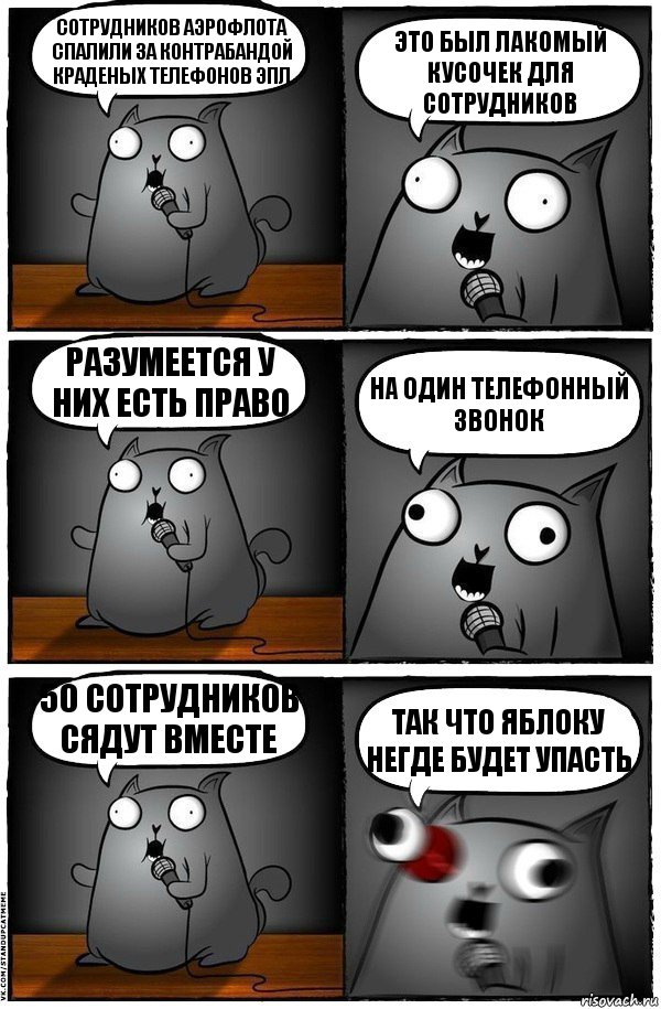 Сотрудников Аэрофлота спалили за контрабандой краденых телефонов Эпл Это был лакомый кусочек для сотрудников Разумеется у них есть право На один телефонный звонок 50 сотрудников сядут вместе Так что яблоку негде будет упасть, Комикс  Стендап-кот