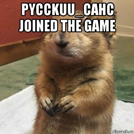 pycckuu_cahc joined the game , Мем Суслик спрашивает
