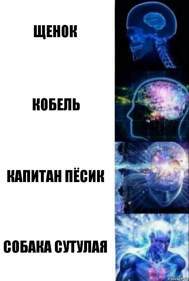 Щенок Кобель Капитан Пёсик Собака сутулая, Комикс  Сверхразум