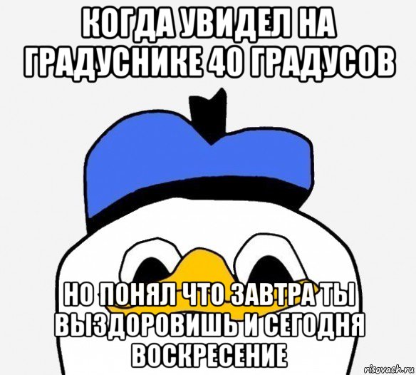 когда увидел на градуснике 40 градусов но понял что завтра ты выздоровишь и сегодня воскресение