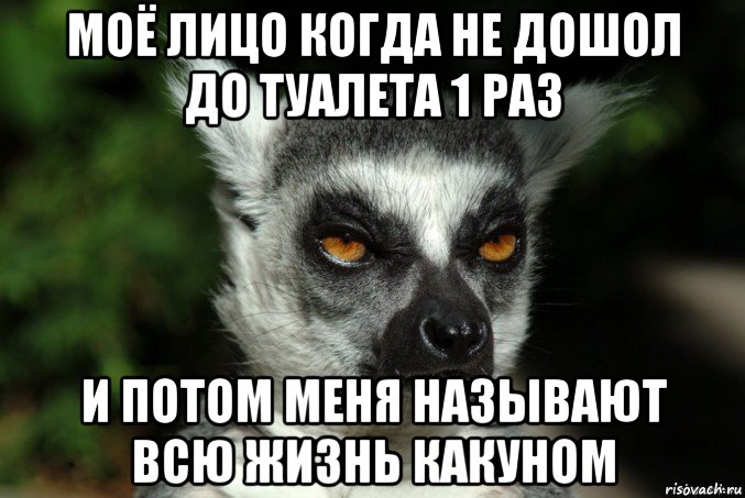 моё лицо когда не дошол до туалета 1 раз и потом меня называют всю жизнь какуном