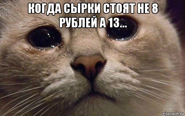 когда сырки стоят не 8 рублей а 13... , Мем   В мире грустит один котик