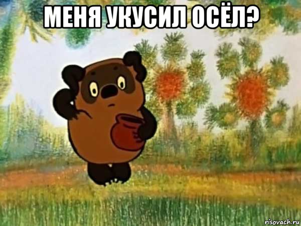 меня укусил осёл? 