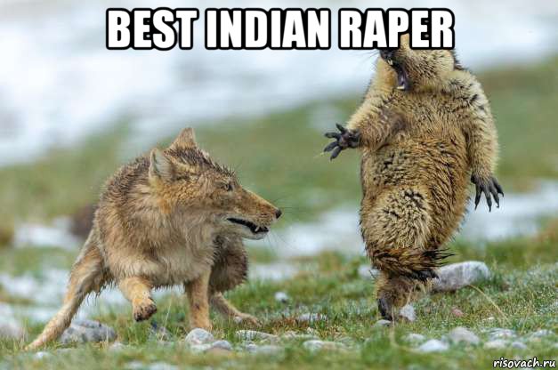 best indian raper , Мем Волк и суслик