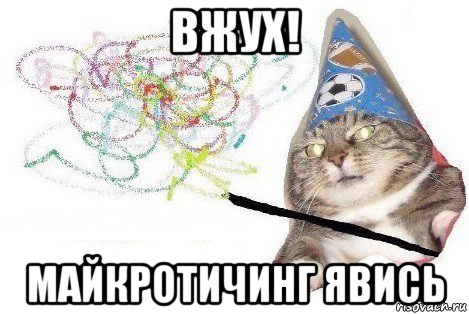 вжух! майкротичинг явись, Мем Вжух мем