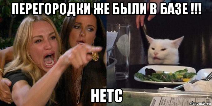 перегородки же были в базе !!! нетс, Мем Женщина орёт на кота