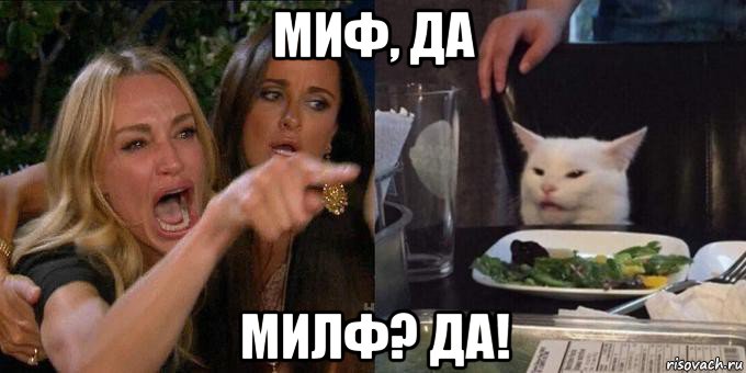 миф, да милф? да!, Мем Женщина орёт на кота