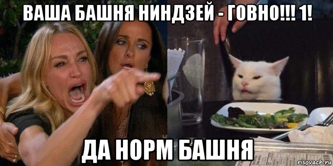 ваша башня ниндзей - говно!!! 1! да норм башня, Мем Женщина орёт на кота