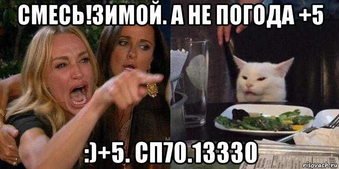 смесь!зимой. а не погода +5 :)+5. сп70.13330, Мем Женщина орёт на кота