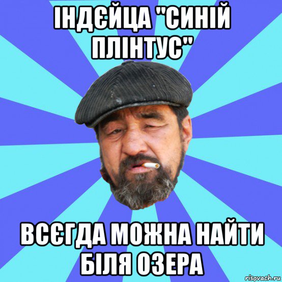 індєйца "синій плінтус" всєгда можна найти біля озера, Мем Бомж флософ