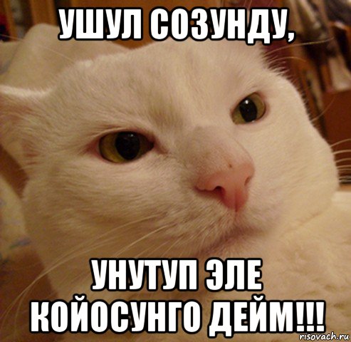 ушул созунду, унутуп эле койосунго дейм!!!