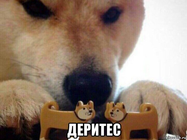  деритес